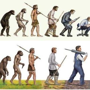 别针大师第六关通关秘籍:高效攻略助你一关到底 别针大师第六关通关秘籍:高效攻略助你一关到底