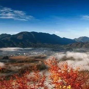 冲鸭原始人攻略:高效技能搭配与升级技巧揭秘 冲鸭原始人攻略:高效技能搭配与升级技巧揭秘