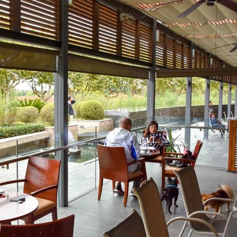 揭秘动物餐厅隐藏功能：解锁神秘新玩法攻略