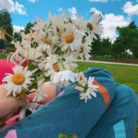 哲理游戏人气盘点：揭秘十大高热度心灵之旅