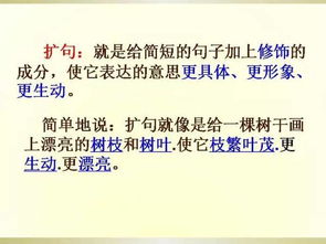 《哪只耳朵相似?》破解《这题太难了》第8关通关秘籍大揭秘 《哪只耳朵相似?》破解《这题太难了》第8关通关秘籍大揭秘