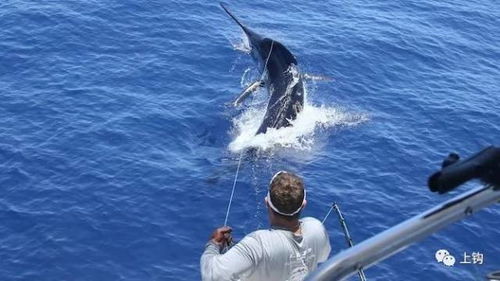 昆仑天池钓鱼必看攻略：掌握独家技巧，轻松捕获江湖珍宝