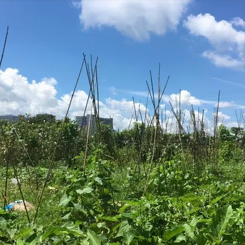 动物餐厅肥料获取攻略:解锁技巧大揭秘! 动物餐厅肥料获取攻略:解锁技巧大揭秘!