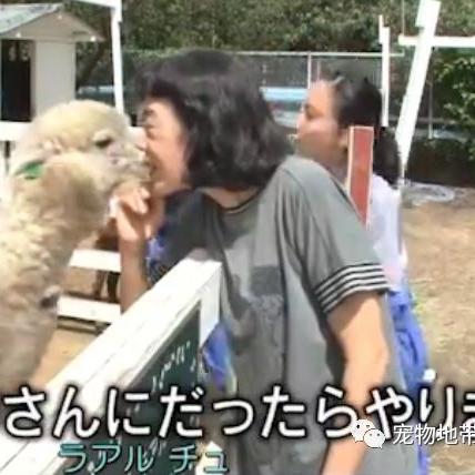 十大外国游戏盘点：必玩经典，解锁全新游戏体验