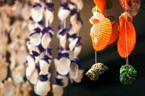 动物餐厅贝壳风铃解锁技巧揭秘，实用攻略助力升级！