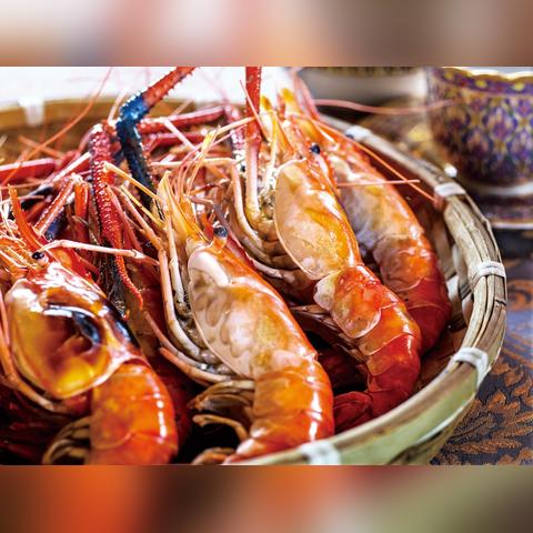 动物餐厅金链攻略：解锁技巧揭秘，快速获取攻略指南