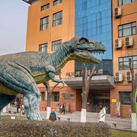 化石博物馆独家揭秘：解锁隐藏恐龙化石的神秘攻略！