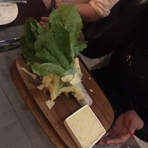 解锁动物餐厅狗粮技巧揭秘:宠物美食升级必备攻略 解锁动物餐厅狗粮技巧揭秘:宠物美食升级必备攻略