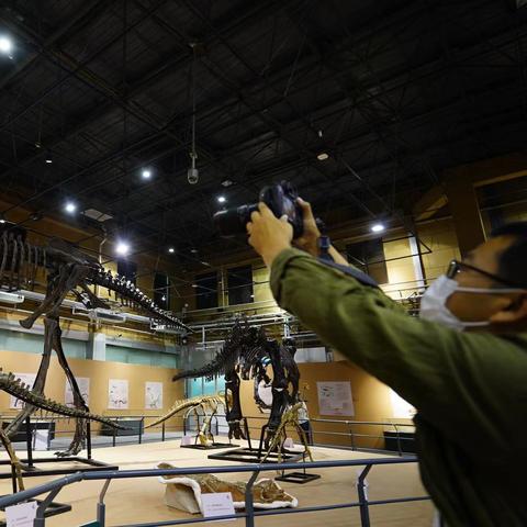 化石博物馆寻宝秘籍：揭秘隐藏恐龙挖掘地与解锁秘法