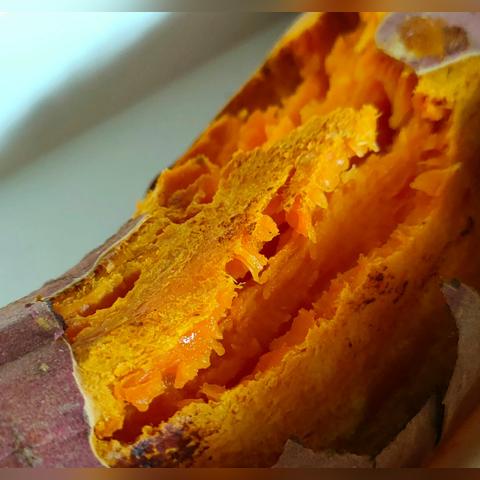 动物餐厅烤地瓜解锁技巧揭秘！实用攻略助你快速升级