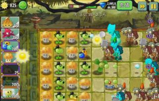 脑洞大开找茬攻略!树屋第2关轻松通关秘籍大揭秘 脑洞大开找茬攻略!树屋第2关轻松通关秘籍大揭秘