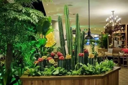 华贵绿荫用途揭秘！解锁攻略助你餐厅生意兴隆