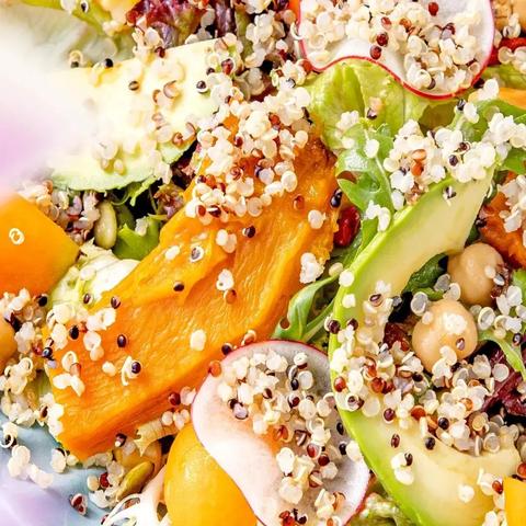 动物餐厅金牌店面解锁攻略：揭秘高效解锁技巧，轻松升级！