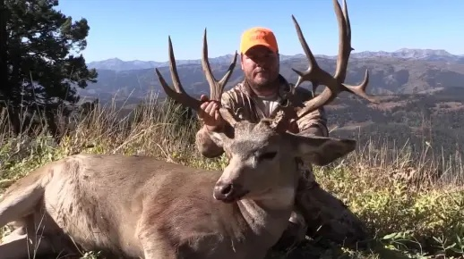 罗马尼亚高山狩猎攻略：揭秘高效捕鹿技巧与绝佳鹿踪地点