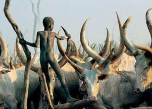 非洲平原寻穿山甲攻略：揭秘挨饿荒野生存技巧