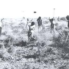 生存必备!揭秘挨饿荒野沼泽丛林通关秘籍攻略分享 生存必备!揭秘挨饿荒野沼泽丛林通关秘籍攻略分享