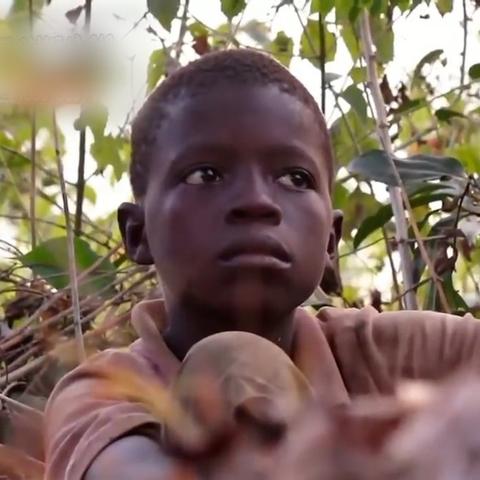 《挨饿荒野沼泽丛林隐藏任务》通关秘籍:独家攻略助你轻松解锁隐藏挑战 《挨饿荒野沼泽丛林隐藏任务》通关秘籍:独家攻略助你轻松解锁隐藏挑战