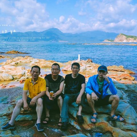 海岛生存攻略:高效海鸟陷阱放置技巧揭秘 海岛生存攻略:高效海鸟陷阱放置技巧揭秘