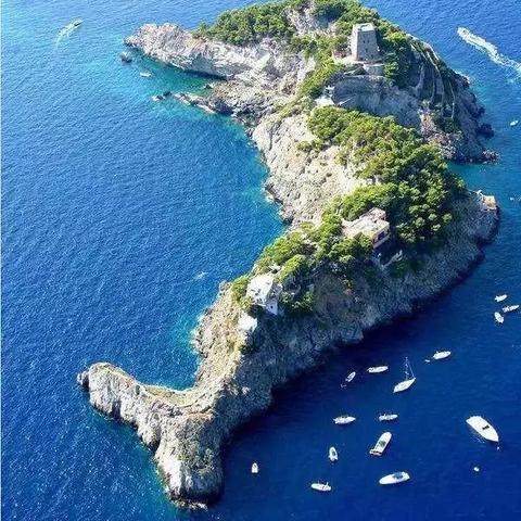 菲律宾海岛鳄鱼击杀攻略：高效生存技巧揭秘