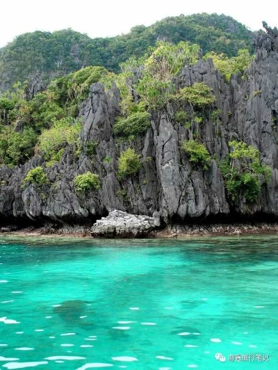 独家揭秘!菲律宾海岛生存挑战隐藏任务攻略,轻松通关秘籍大放送 独家揭秘!菲律宾海岛生存挑战隐藏任务攻略,轻松通关秘籍大放送