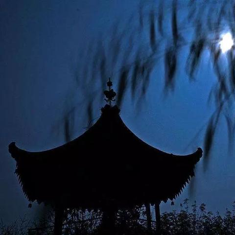 烟雨江湖泠月宫支线攻略：高效完成技巧揭秘，轻松升级！