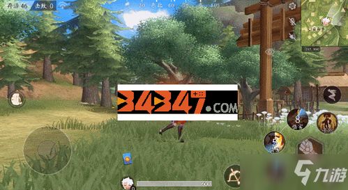 风云岛行动龙音子连招技巧揭秘:高效技能释放顺序攻略必看 风云岛行动龙音子连招技巧揭秘:高效技能释放顺序攻略必看