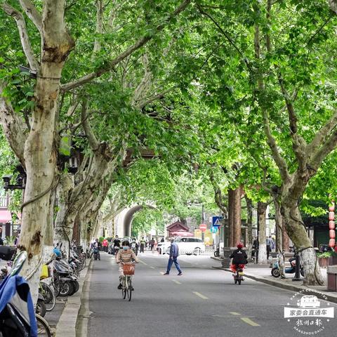 风云岛行动毒池宝箱速取技巧，轻松解锁宝藏新攻略