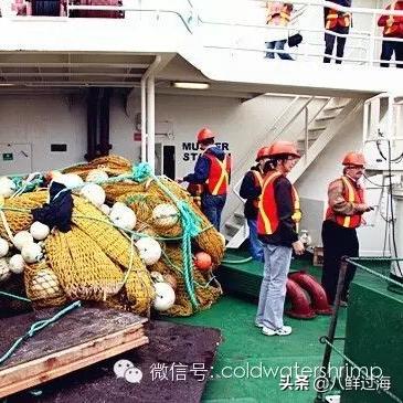 水底游戏人气榜：盘点十大耐玩佳作，探索深海魅力新体验