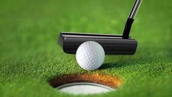 2024年度热门迷你高尔夫盘点：十大最佳游戏推荐，畅玩体验升级！