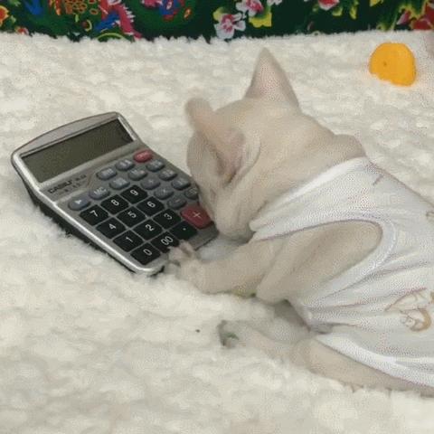 动物餐厅计算器解锁攻略:揭秘餐厅经营必备神器! 动物餐厅计算器解锁攻略:揭秘餐厅经营必备神器!