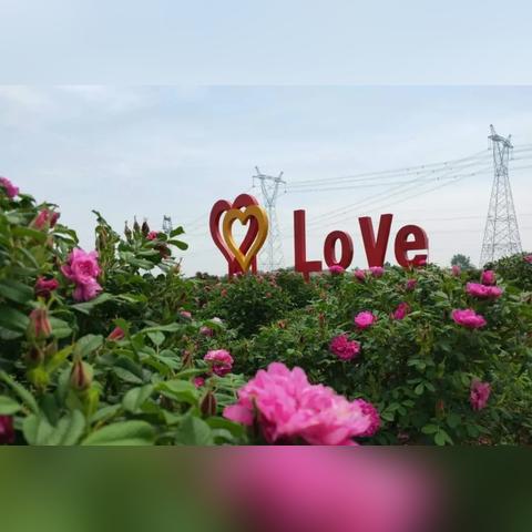 热门轨道射击游戏盘点：下载量飙升的射击佳作推荐