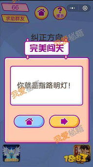 脑洞大挑战196关通关攻略：揭秘终点站必胜技巧！