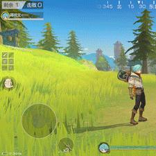 风云岛行动宠物性价比解析：技能与价格深度揭秘