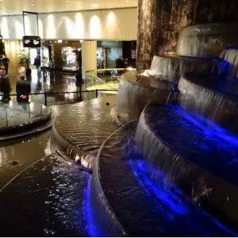 动物餐厅皇冠解锁攻略:揭秘高效获得技巧 动物餐厅皇冠解锁攻略:揭秘高效获得技巧