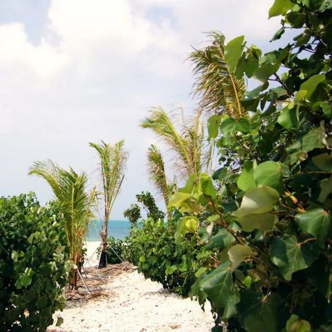 迷失岛3电源线连接灯泡攻略：解锁神秘岛屿照明技巧揭秘