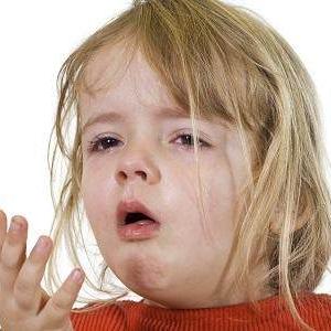 动物餐厅急救证快速解锁攻略,解锁技巧大揭秘! 动物餐厅急救证快速解锁攻略,解锁技巧大揭秘!