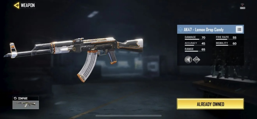 AK47实战攻略：手游使命召唤必备技巧解析