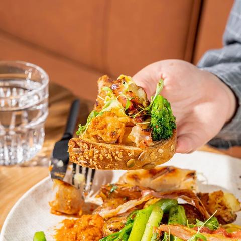 动物餐厅福到了材料解锁攻略，轻松获取食材秘籍！