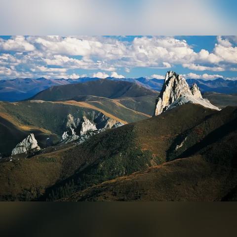 动物餐厅金元宝解锁攻略：高效获取材料秘籍大揭秘