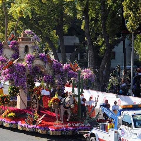 动物餐厅解锁秘籍：玫瑰花环获取攻略大揭秘