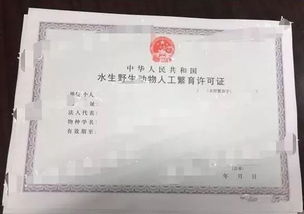 动物餐厅紫薯包涨价攻略：轻松获取许可证及涨价秘籍揭秘