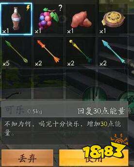 风云岛行动粗布斗篷属性解析，装备技能深度揭秘！