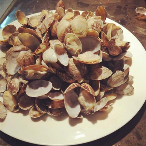 解锁动物餐厅酒蒸蛤蜊涨价许可证攻略，特色食谱大揭秘！