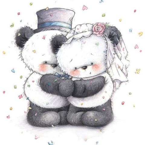 动物餐厅涂鸦信解锁攻略：揭秘高效获取方法