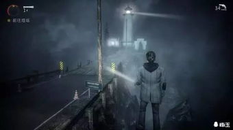 悬疑惊悚游戏盘点：耐玩度爆表十大排行，揭秘热门惊悚游戏精选