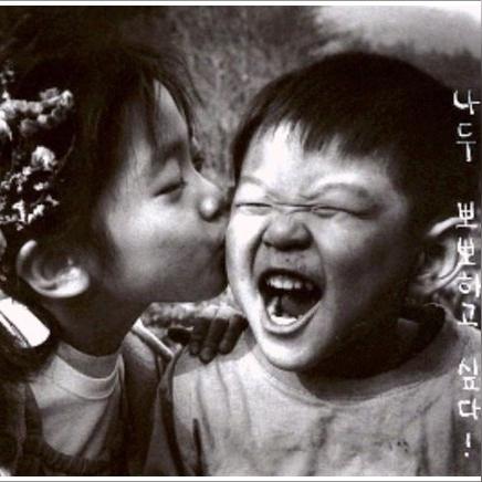 动物餐厅黑白君来信2攻略：解锁秘籍，快速升级技巧揭秘