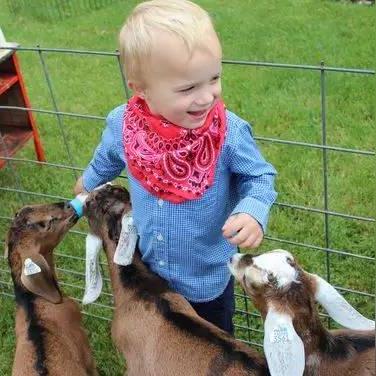 脑洞大挑战99关防暑攻略：轻松通关，夏日无忧秘籍