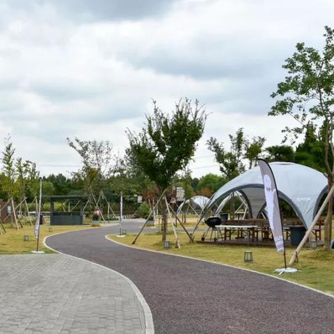 解锁动物餐厅手账终极页攻略：揭秘隐藏条件，轻松达成成就