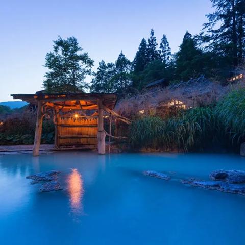 热门狐狸游戏推荐：盘点最受玩家喜爱的高品质狐狸游戏攻略