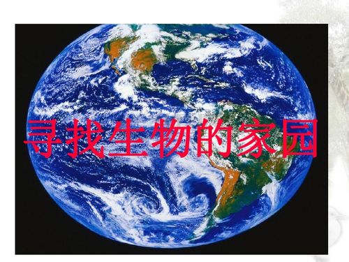 生命简史探秘:高效寻能量生物攻略,解锁神秘生物技巧 生命简史探秘:高效寻能量生物攻略,解锁神秘生物技巧